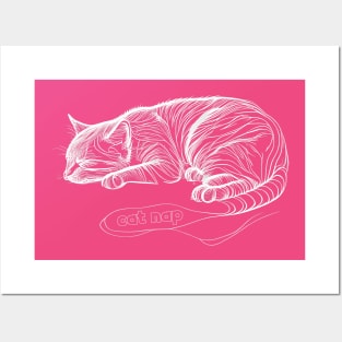 Cat Nap Posters and Art